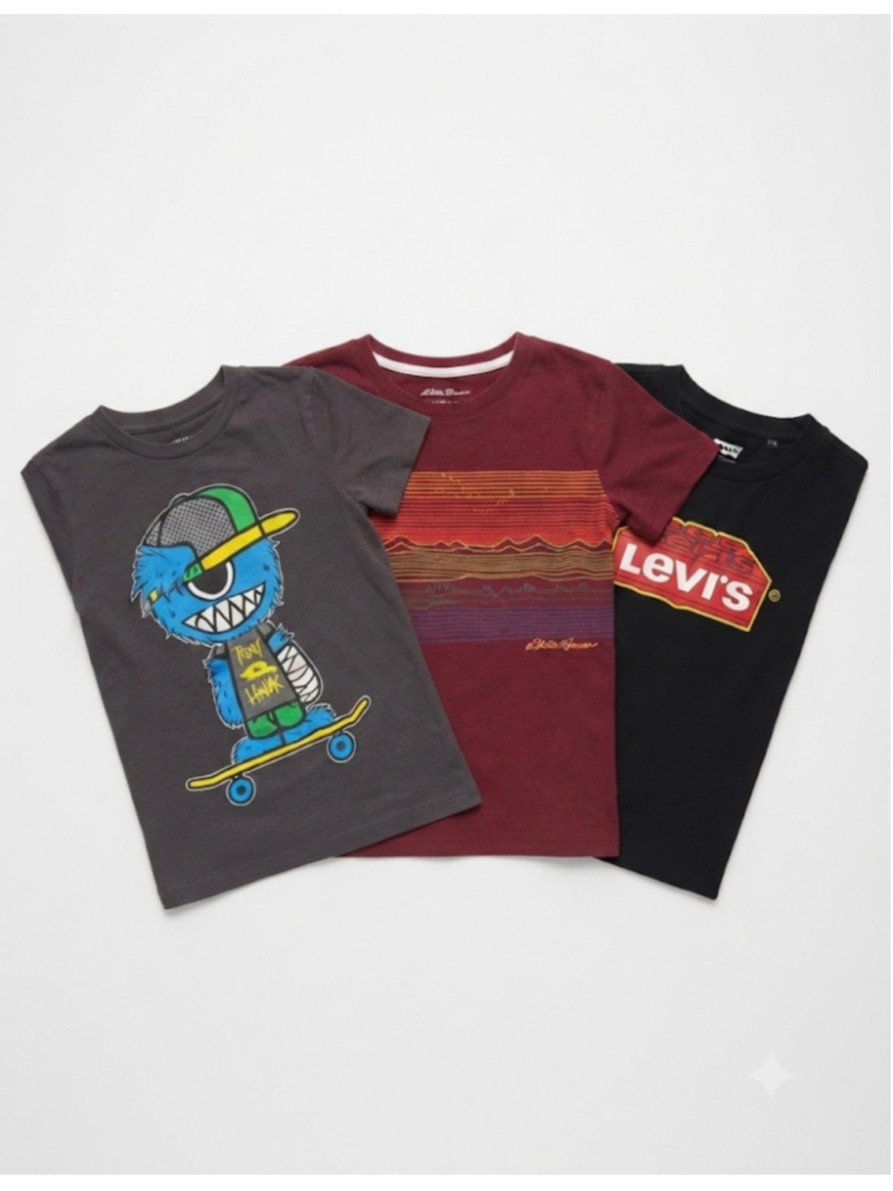 Boys Graphic T-Shirts Lot of 3 Tony Hawk Levi’s Size 5/6